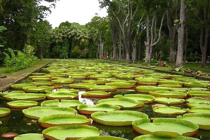 All Inclusive Full-Day North of Mauritius Private Tour With Lunch - Shopping Opportunities