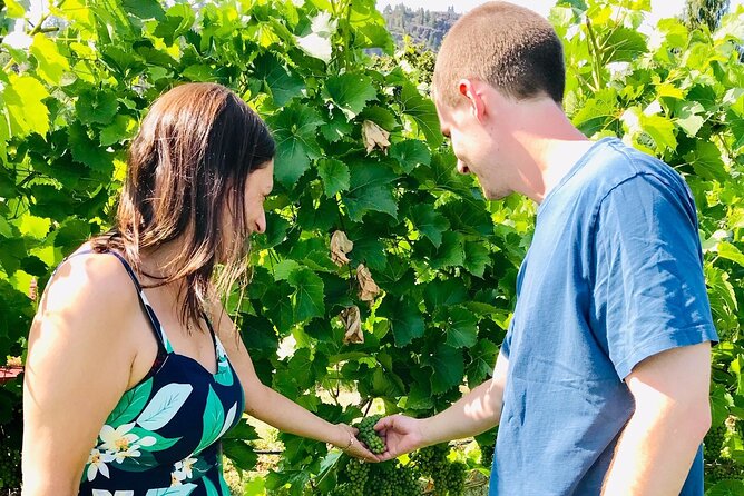 All Star Wineries of Kelowna Tour - Inclusions and Exclusions