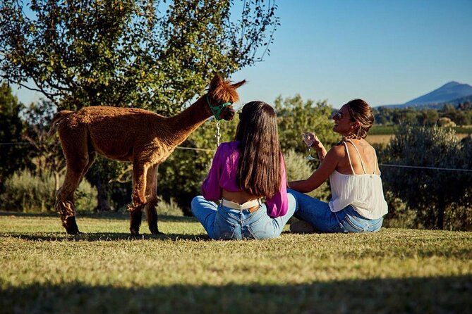 Alpaca Trek - Reviews and Ratings