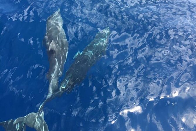 Amalfi Coast on Luxe Yacht - Health and Safety Considerations