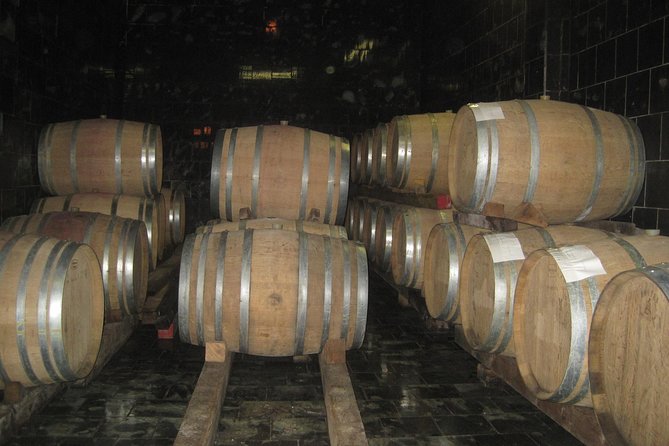 Amarone Wine Tour (All-Inclusive Full Day With Lunch and Expert Wine Guide) - Accessibility and Transportation