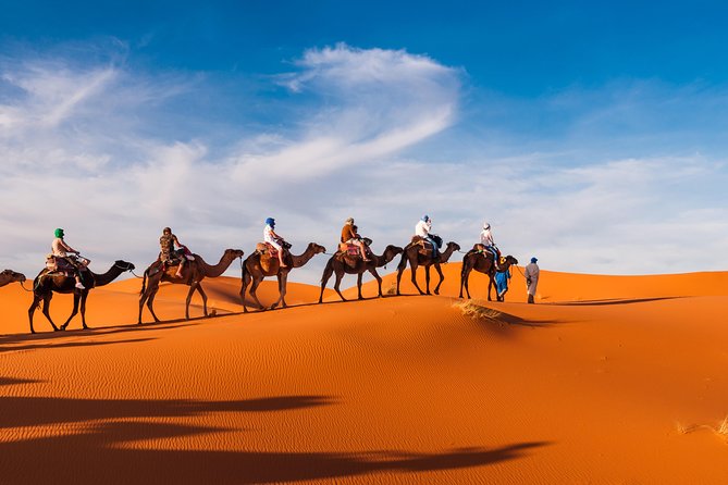 Amazing Abu Dhabi Evening Safari - Cultural Performances