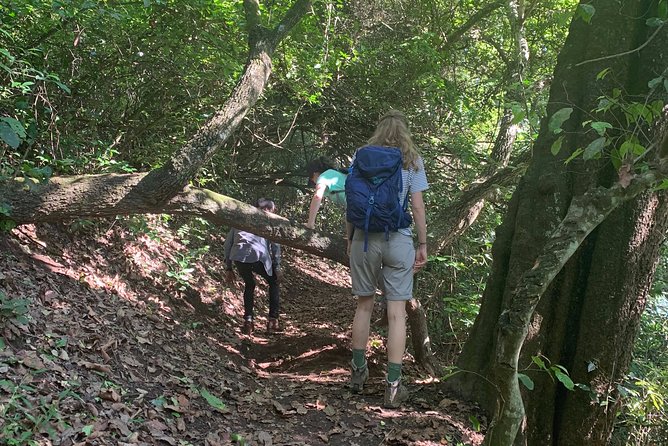 Amazing Lake Duluti Day Trip Experience - Adventure Activities Available