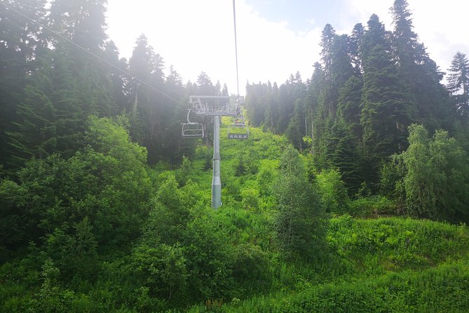 Amazing Trip to Svaneti - 7 Days for 1-4 Person - Visiting Ancient Svan Towers