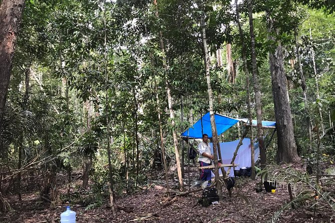 Amazon Survival Tour 6D/5N - Itinerary Highlights
