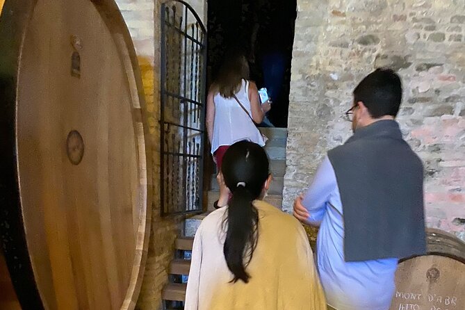 Among Ancient Sunny Vineyards, Visit and Taste the Wines From the San Lorenzo Cellar - Accessibility Features