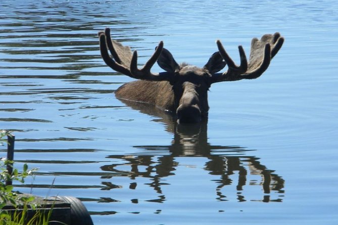 Anchorage to Whittier Cruise Transfer and Private Tour - Passenger Pickup and Drop-off