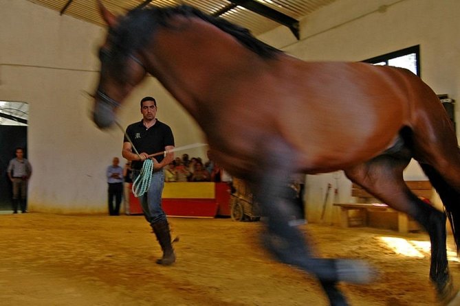 Andalucia Bull and Horse Farm and Ronda Private Tour From Malaga - What to Expect on Your Tour
