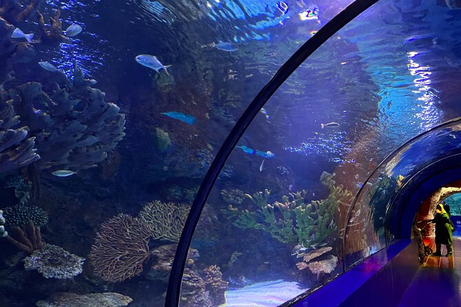 Antalya Aquarium and Face to Face Wax Museum Private Transfer - Exploring Face2Face Wax Museum