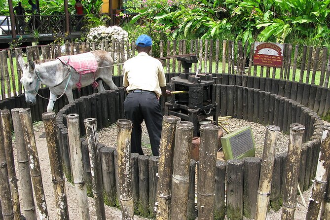 Appleton Rum Estate and Ys Falls From Montego Bay - Tour Requirements and Restrictions