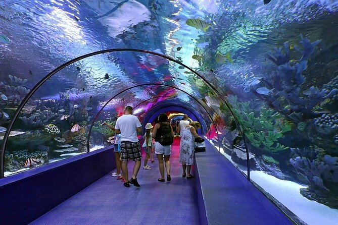 Aquarium and Face to Face Wax Museum in Antalya - Nearby Attractions and Activities