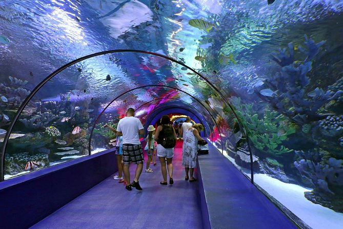 Aquarium & Face2face Wax Museum From Kemer - Cancellation and Rescheduling