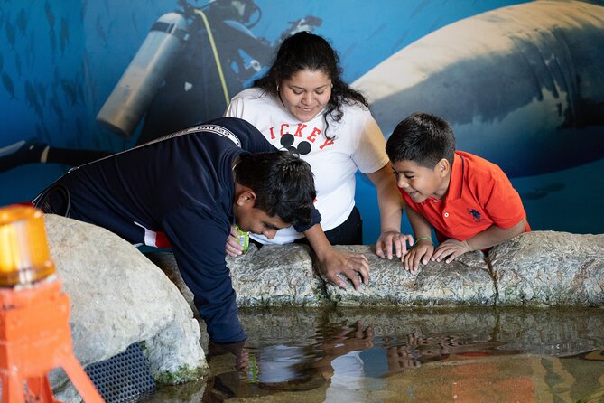 Aquarium of the Bay VIP Experience - Highlights and Attractions