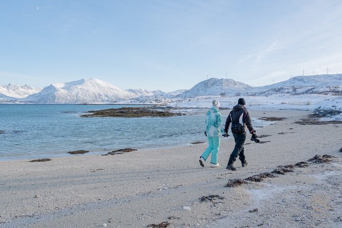 Arctic Roadtrip: Fjords With Scenic Picnic | Small Group 4x4 Van - Additional Information