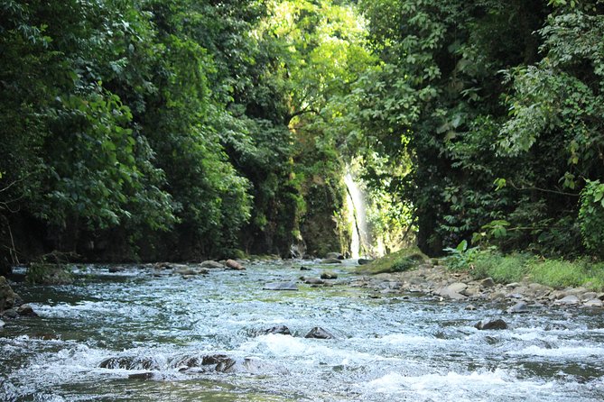 Arenal Volcano Lava Filds ATV Tour (Double ATV) - Customer Reviews