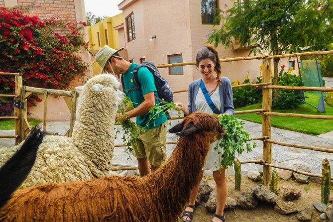 Arequipa Panoramic Bus Tour - Accessibility and Participation