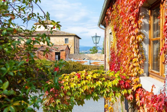 Arezzo: Wine Tasting Experience in Valdichiana Area - Duration and Group Size