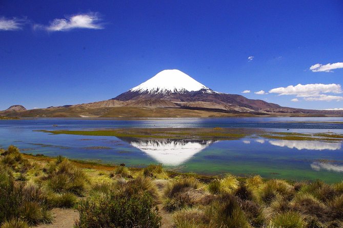Arica: Full Day to Lauca National Park and Chungara Lake, Meals Included - Health and Safety Information