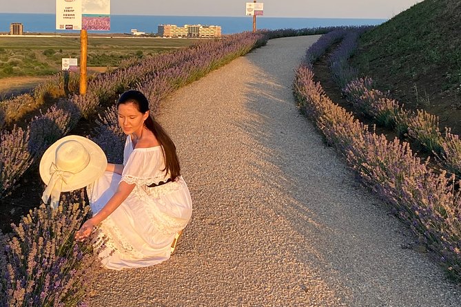 Aroma Sampling of 5 Bulgarian Lavender Varieties at Dives Winery - Terraced Fields Overlooking the Black Sea