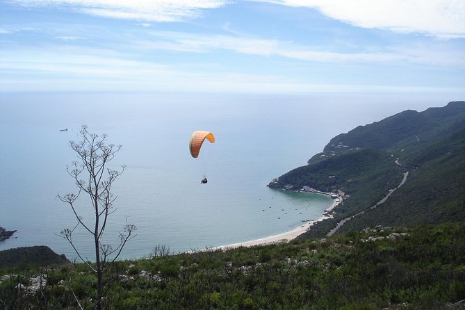 Arrábida Culture, Wine and Gastronomic Experience - Savoring Regional Portuguese Cuisine