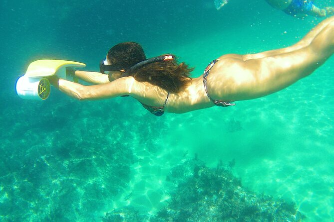 Arrabida Private Boat Tour With Secret Beaches and Dolphins  - Setubal District - Activities for All Interests