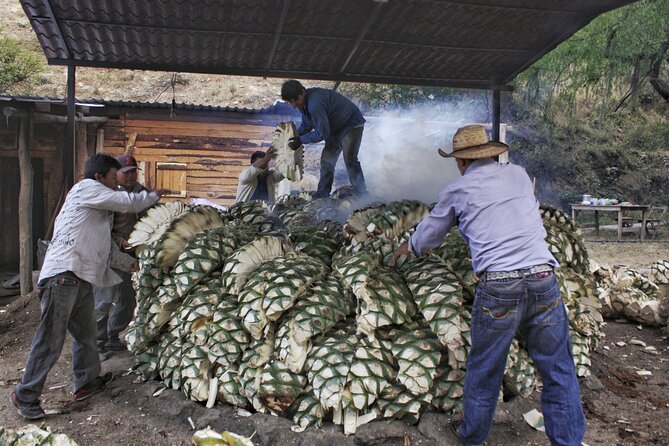 Artisanal Mezcal Distillery in an Authentic Zapotec Village - Traveler Reviews and Testimonials