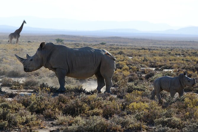 Arusha: 5 Days Safari Trip Tarangire, Lake Manyara and Ngorongoro - Unique Accommodations During the Trip