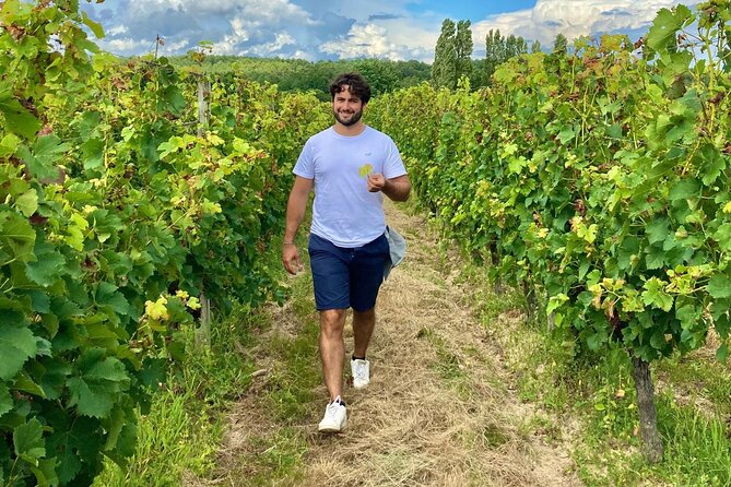 Assemble Your Own Wine Cuvée in the Vineyard - Accessibility and Restrictions