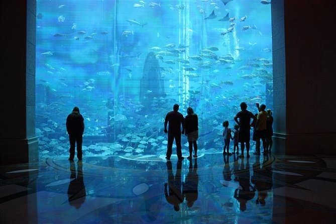 Atlantis Lost-Chamber Aquarium Dubai - Aquarium Highlights and Exhibits