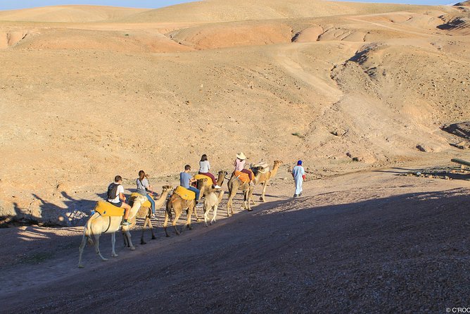 Atlas Mountains and Agafay Desert Jeep Safari - Traveler Feedback Highlights