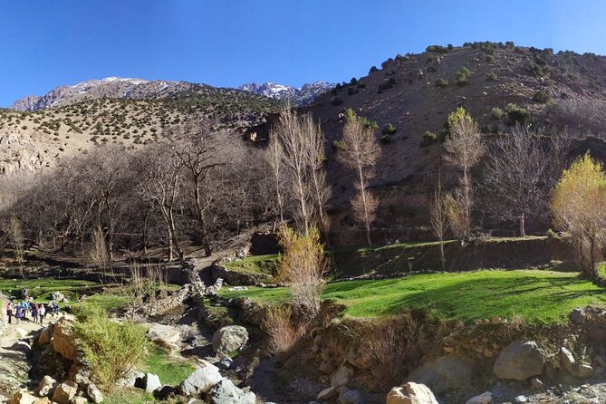 Atlas Mountains Day Trek - Schedule and Participation Details