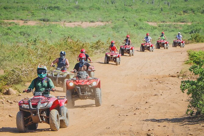 ATV Single in Cabo San Lucas /2 Hours/ Migriño Beach and Desert - Activity Details