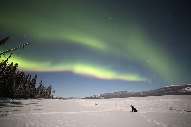 Aurora Borealis - Pickup Details