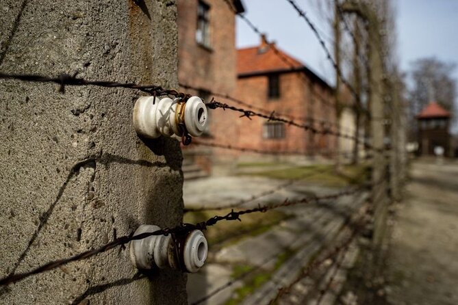 Auschwitz and Birkenau Tour - Tour Requirements