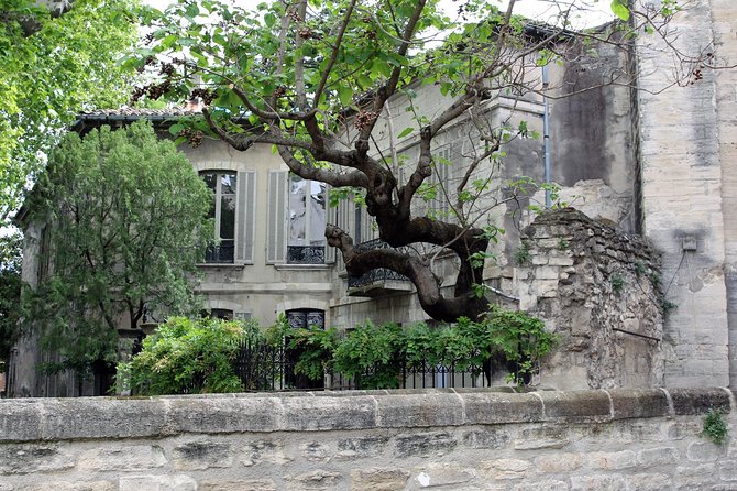 Avignons History, Local Culture & the Wines of Châteauneuf Du Pape Private Tour - Customizable Tour Options