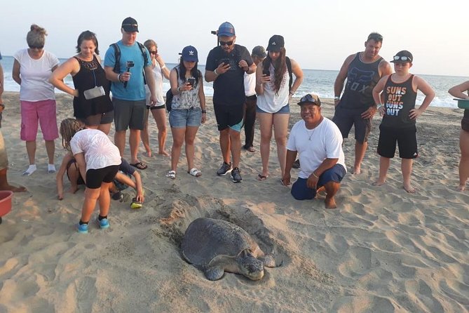 Baby Turtle Release in Coyote Escobilla Beach - Conservation Efforts