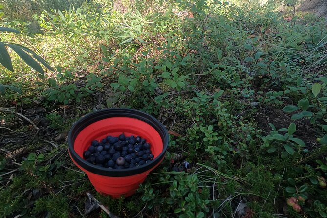 Backcountry Eats & Foraging Treats - Customer Reviews