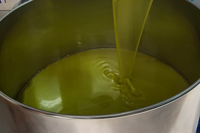Bale, Rovinj and Vodnjan With Olive Oil Tasting From Pula - Booking and Availability