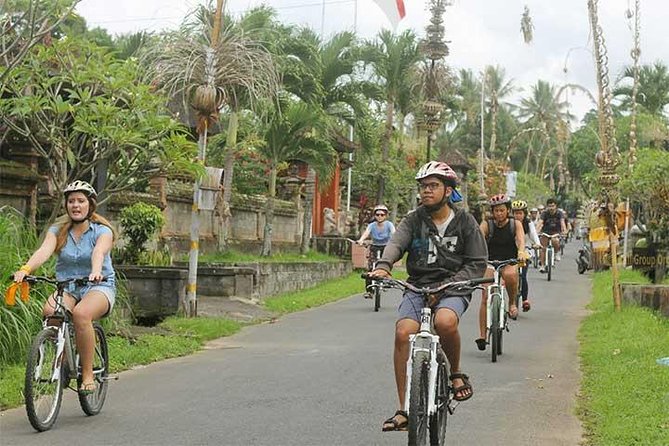 Bali Cycling Tour - Customer Experiences