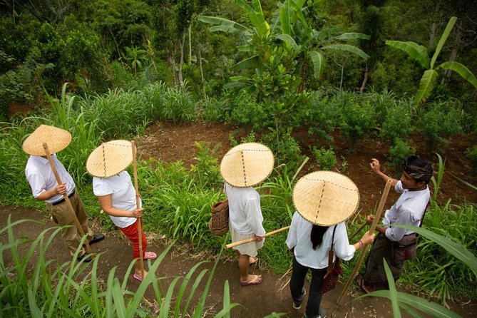 Bali Pure Trek With Spiritual Journey, Purification Ceremony, Local Priest -Ubud - Culinary Delights