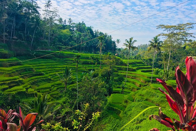 Balinese Culture Including Tukad Cepung Waterfall - Enhancing Your Balinese Experience