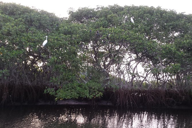 Bandia With Lagoon of Somone. Minimum 2 People for Reservation - Customer Reviews