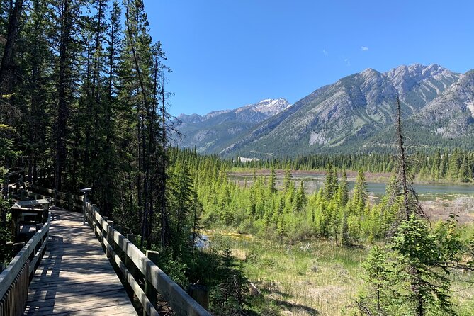 Banff History Tour - 1.5hr Walking Tour - Accessibility and Participation