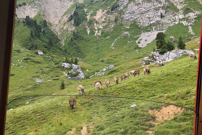 Basel Private Tour - Mt. Pilatus and Cruise on Lake of Lucerne - Flexible Cancellation Policy