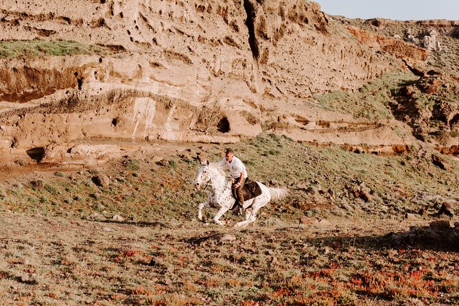 Beach Gallop - Horse Riding Safari for Experienced Riders - Intimate Group Experience