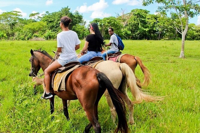 Beach Horse Ride Punta Cana - El Limon & La Sabana De Nisibon - Weather and Cancellation