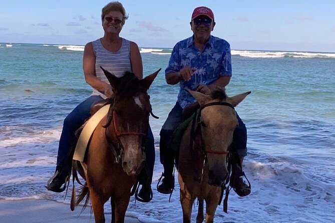 Beach Sunset Horseback Ride in Punta Cana - Guest Feedback and Ratings