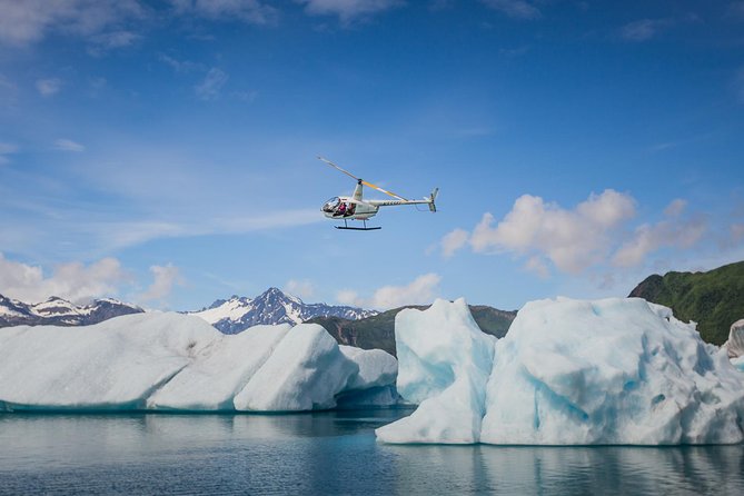 Bear Glacier Scenic Flight - What to Expect on Your Flight