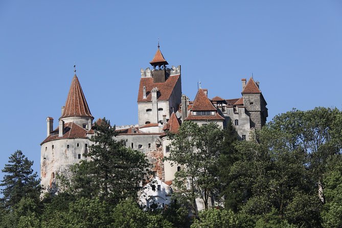 Bears Libearty Sanctuary and Bran Castle Day Trip - Health and Safety Guidelines