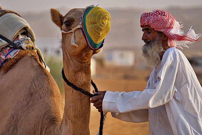 Bediyah: Camel Safari Through the Wahiba Sands Desert - Past Traveler Experiences and Reviews